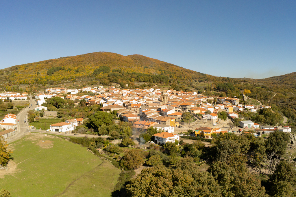 Vista