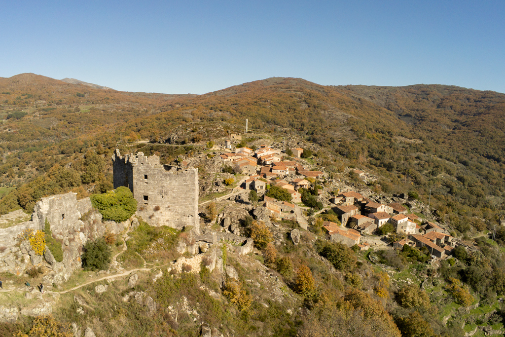 Vista