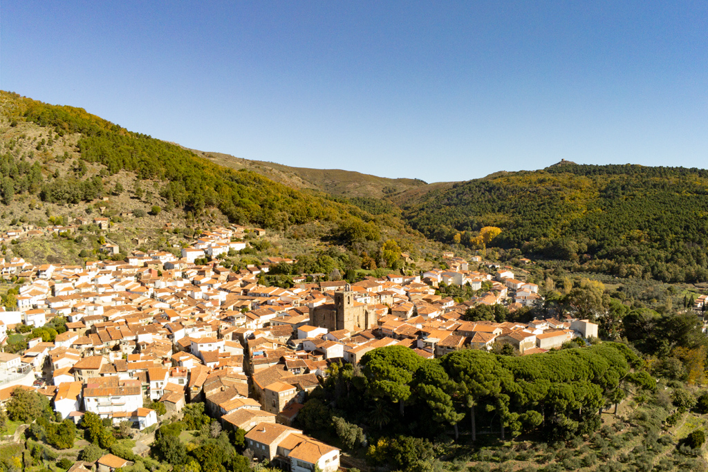 Vista