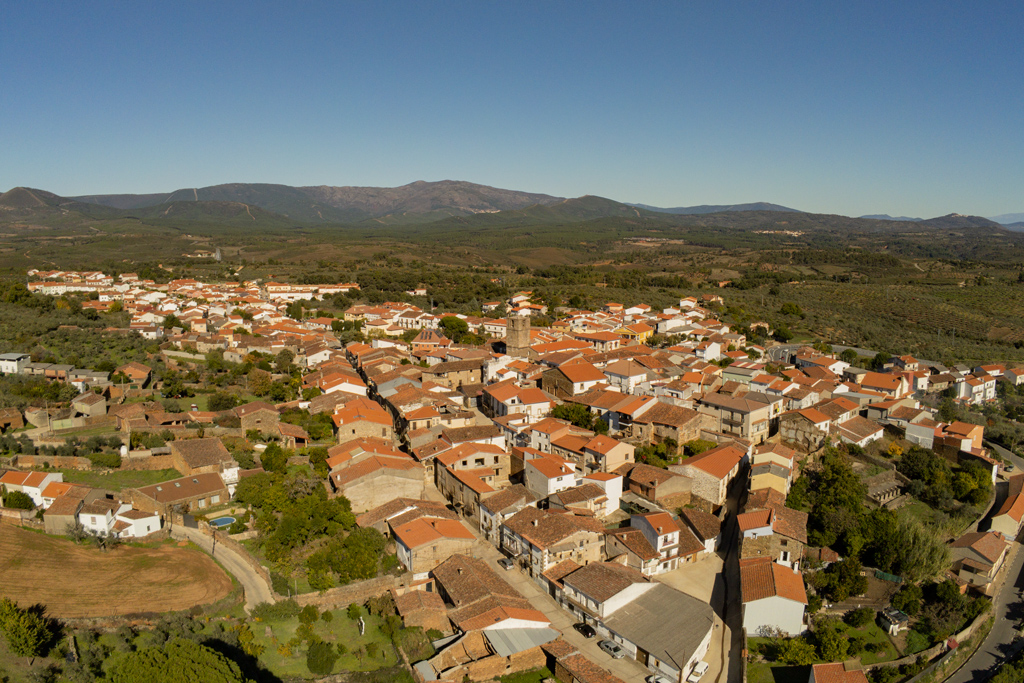Vista