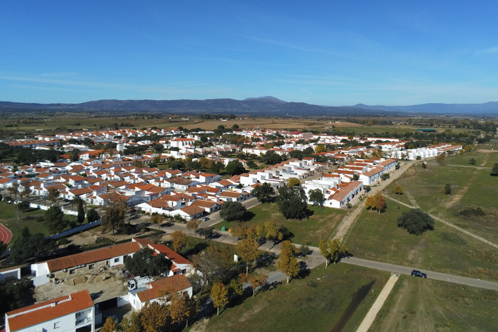 Vista
