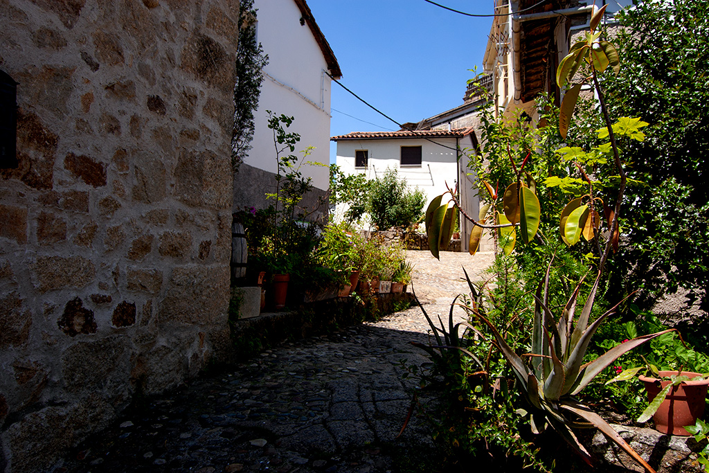 Vista