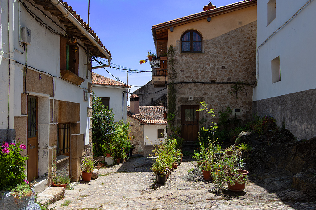 Vista