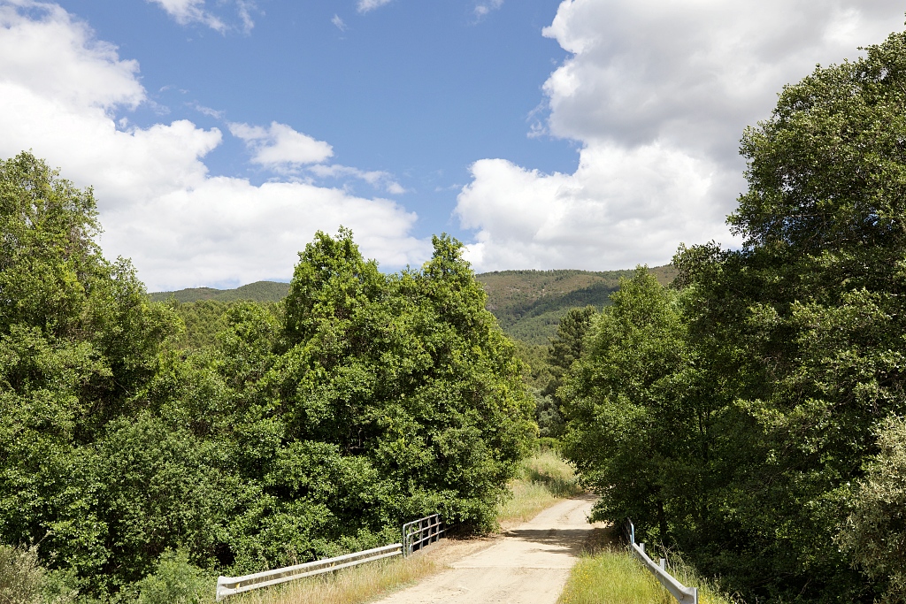 Vista