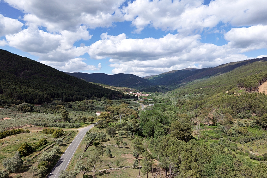 Vista