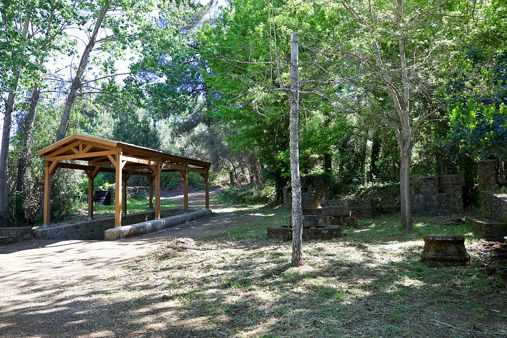 Vista
