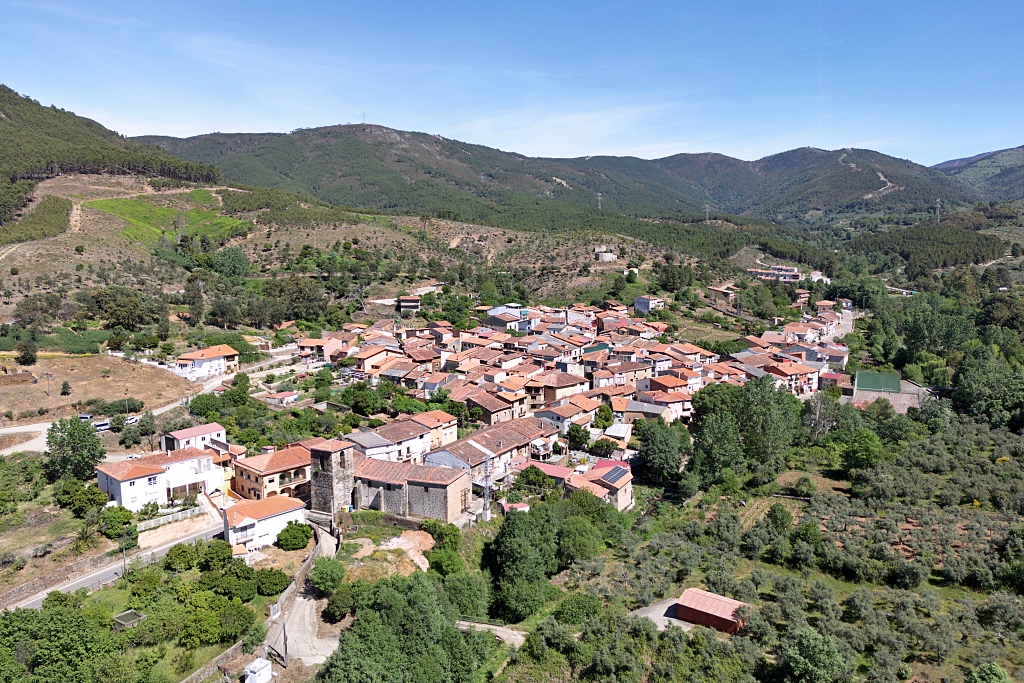 Vista