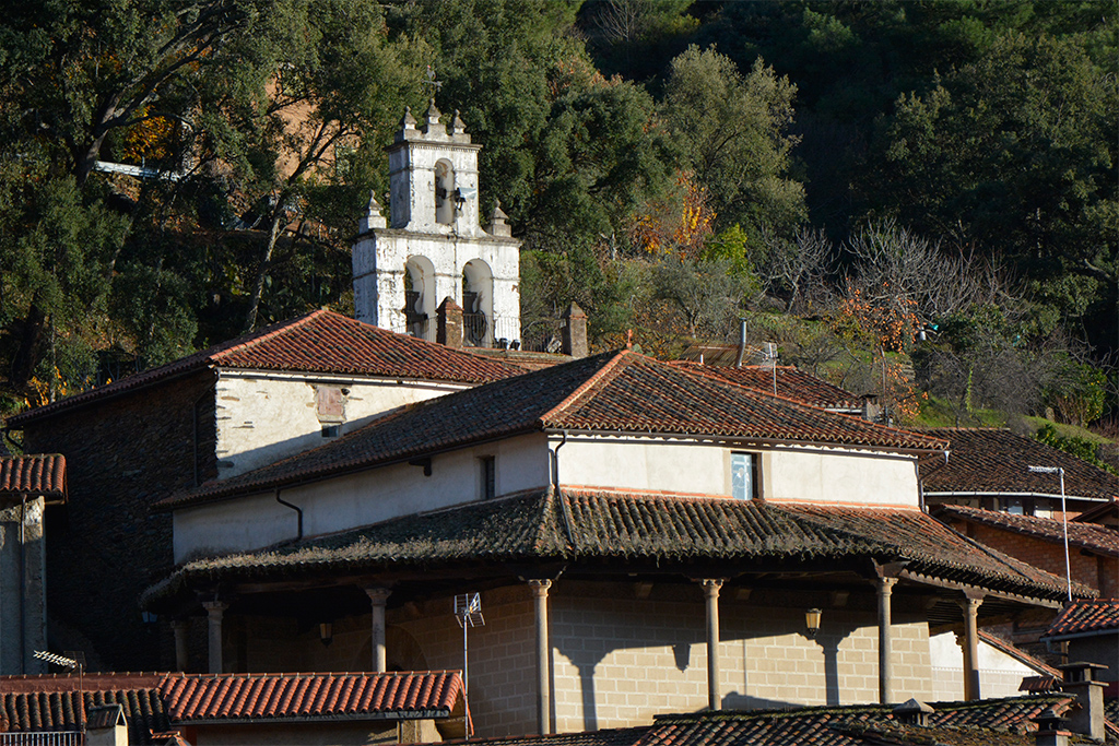 Vista