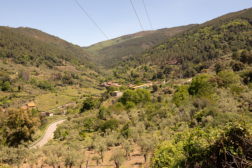 Vista