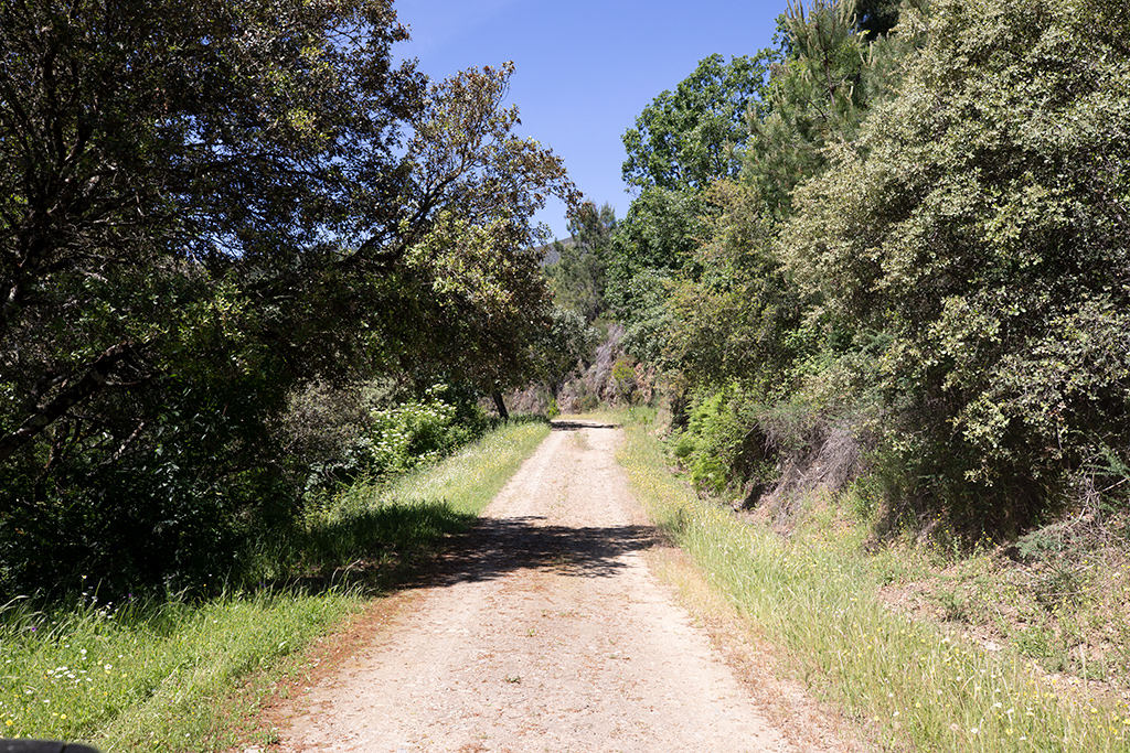 Vista