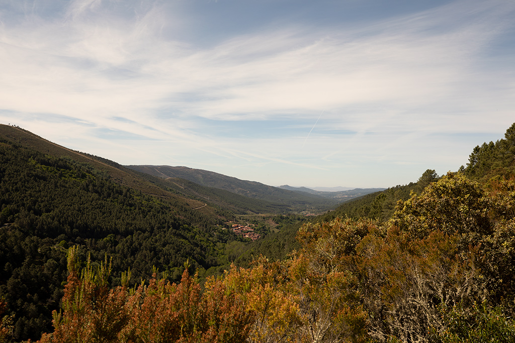 Vista