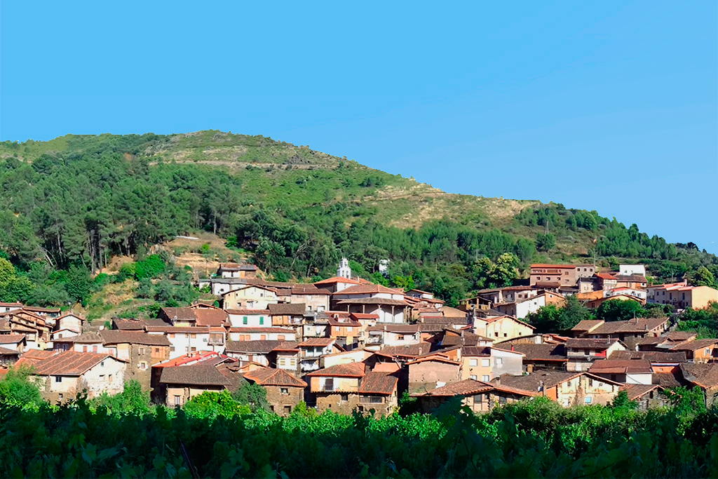 Vista