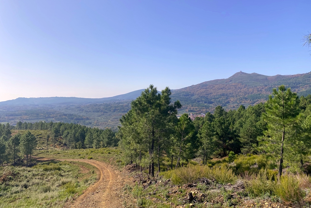 Vista