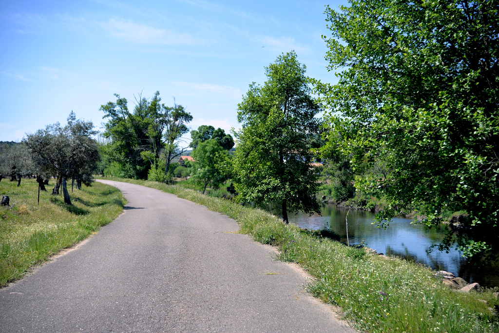 Vista