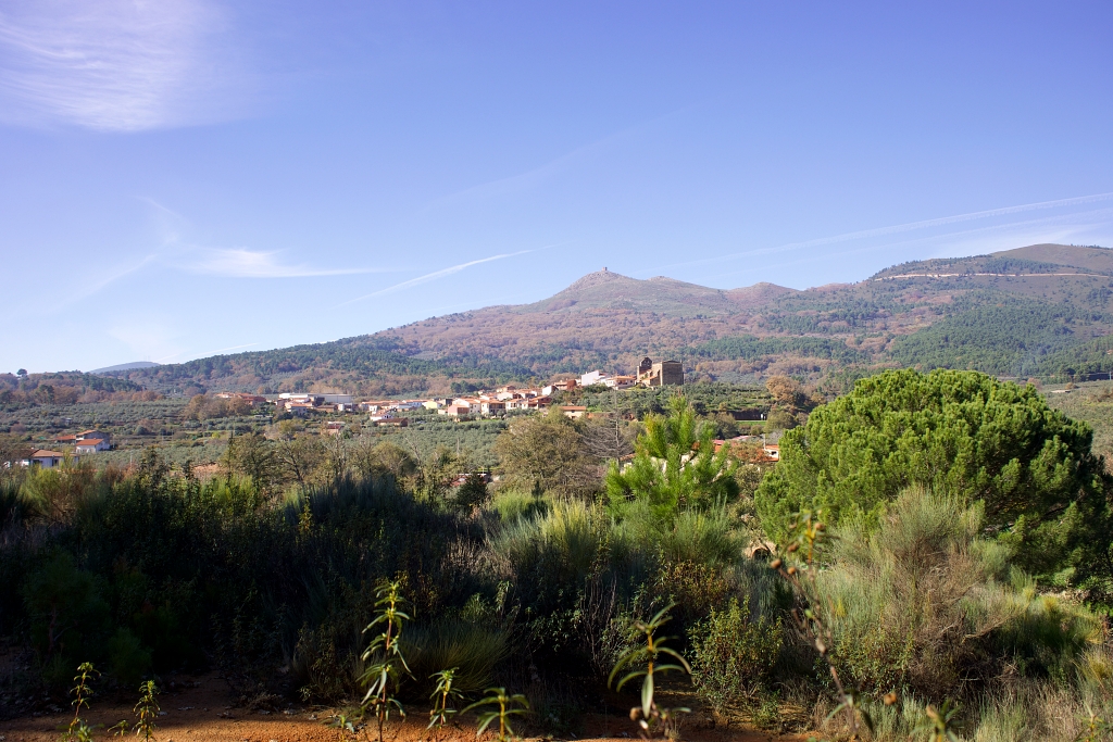 Vista
