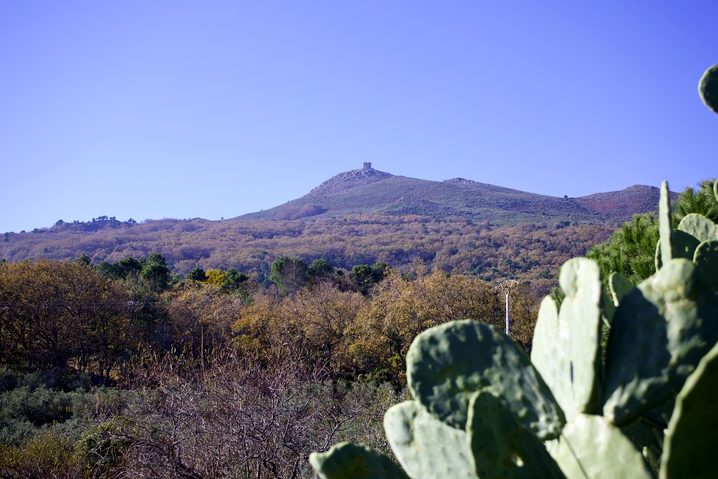 Vista