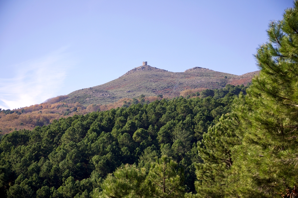 Vista