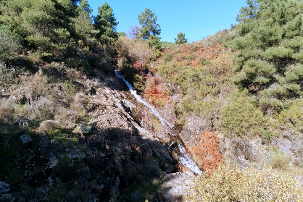Vista