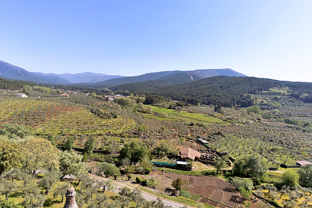 Vista