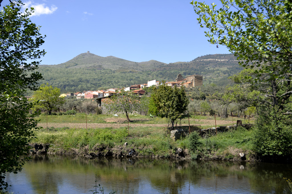 Vista