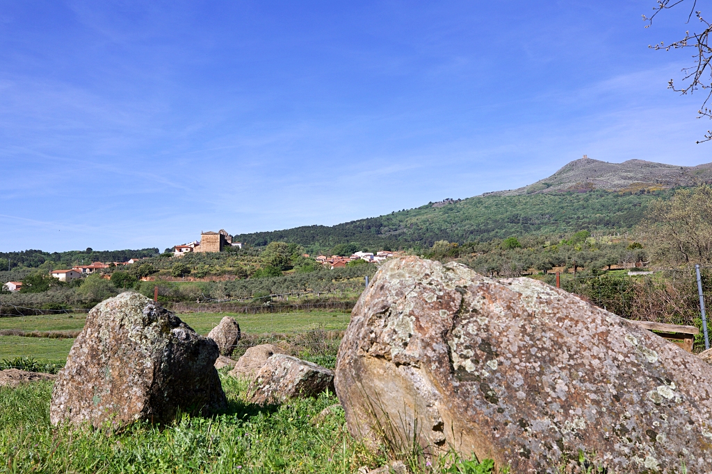 Vista