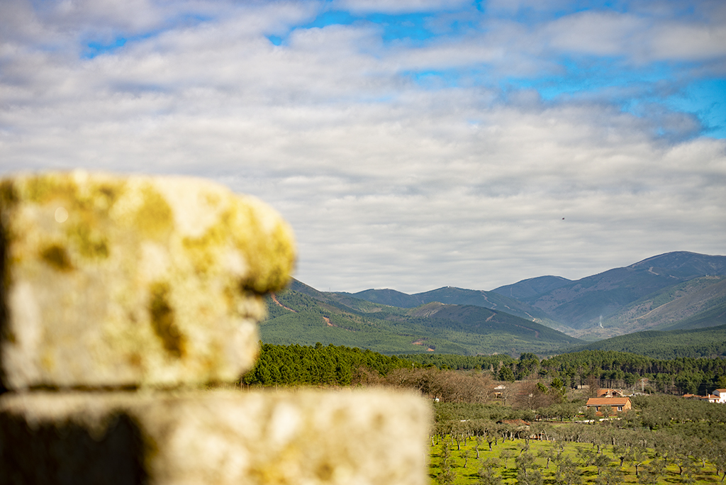 Vista