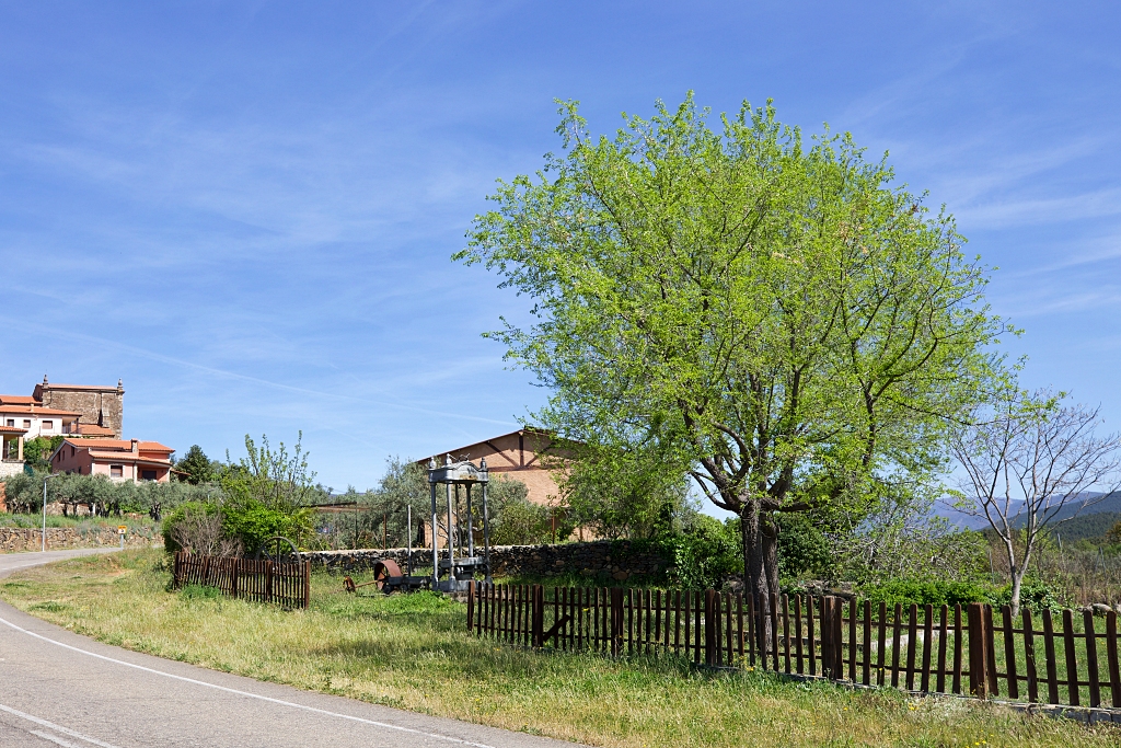 Vista