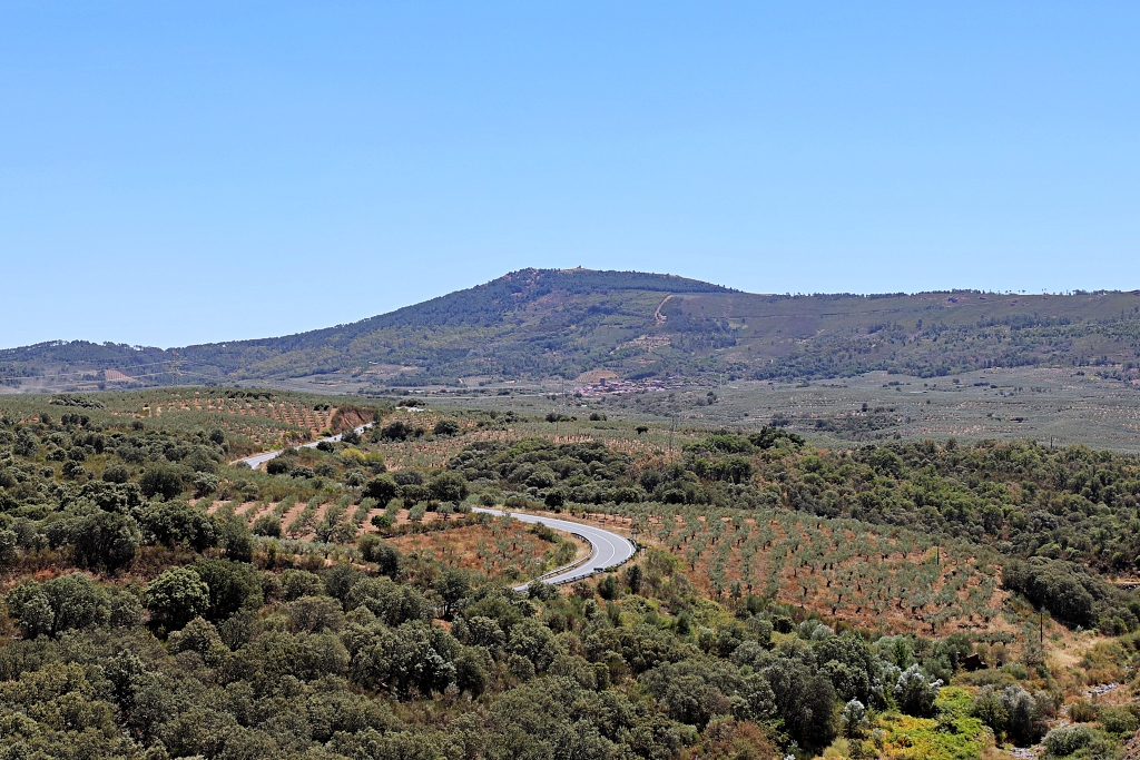 Vista