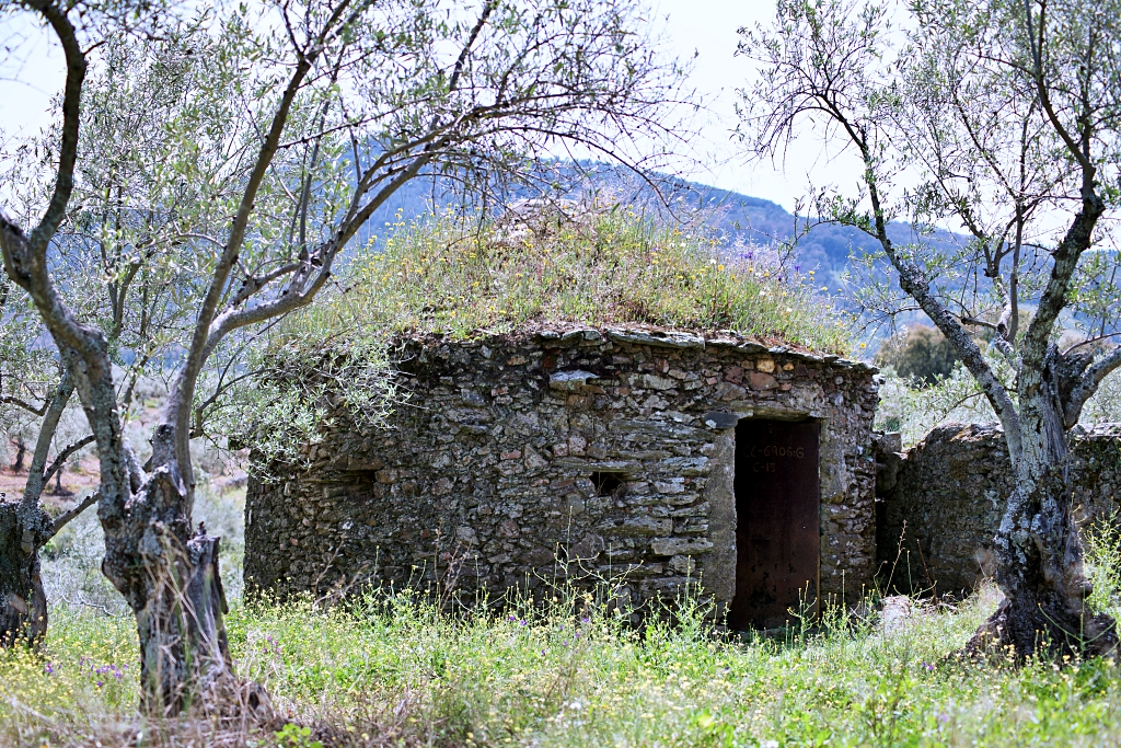 Vista