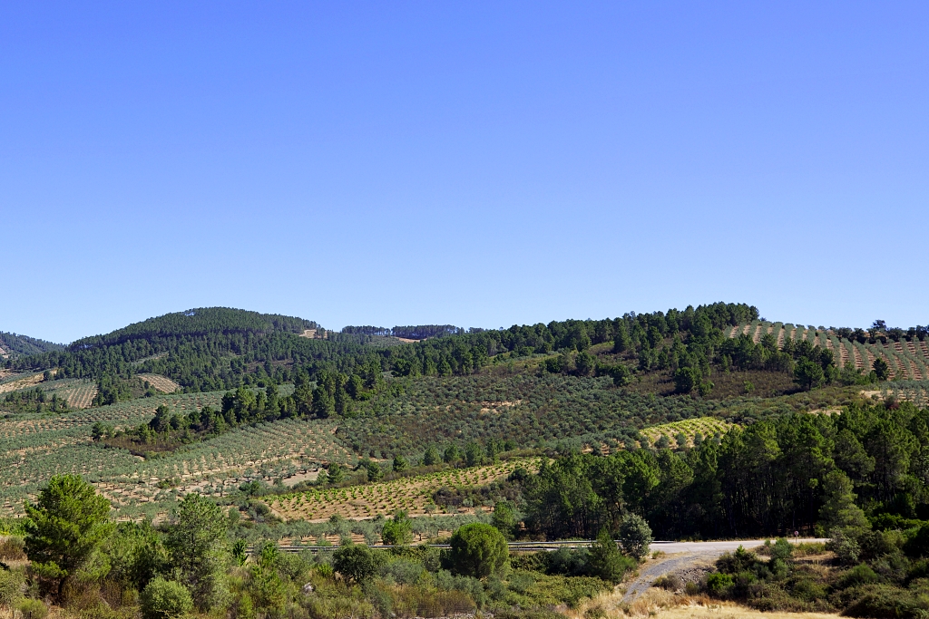 Vista
