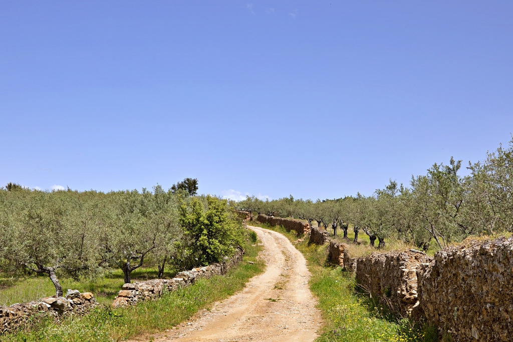 Vista