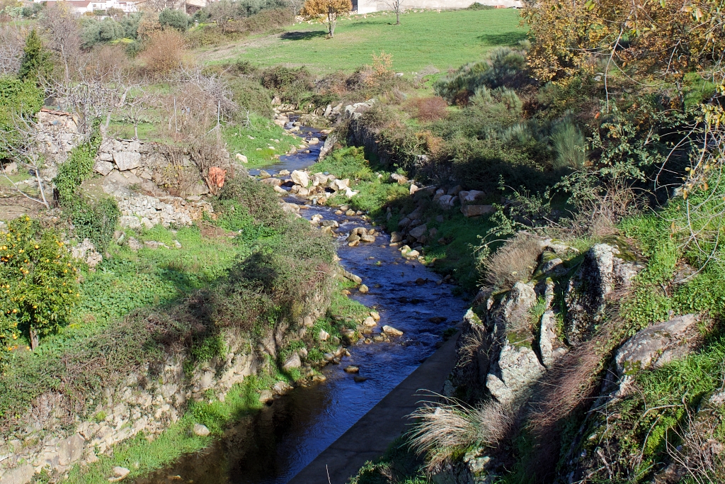 Vista