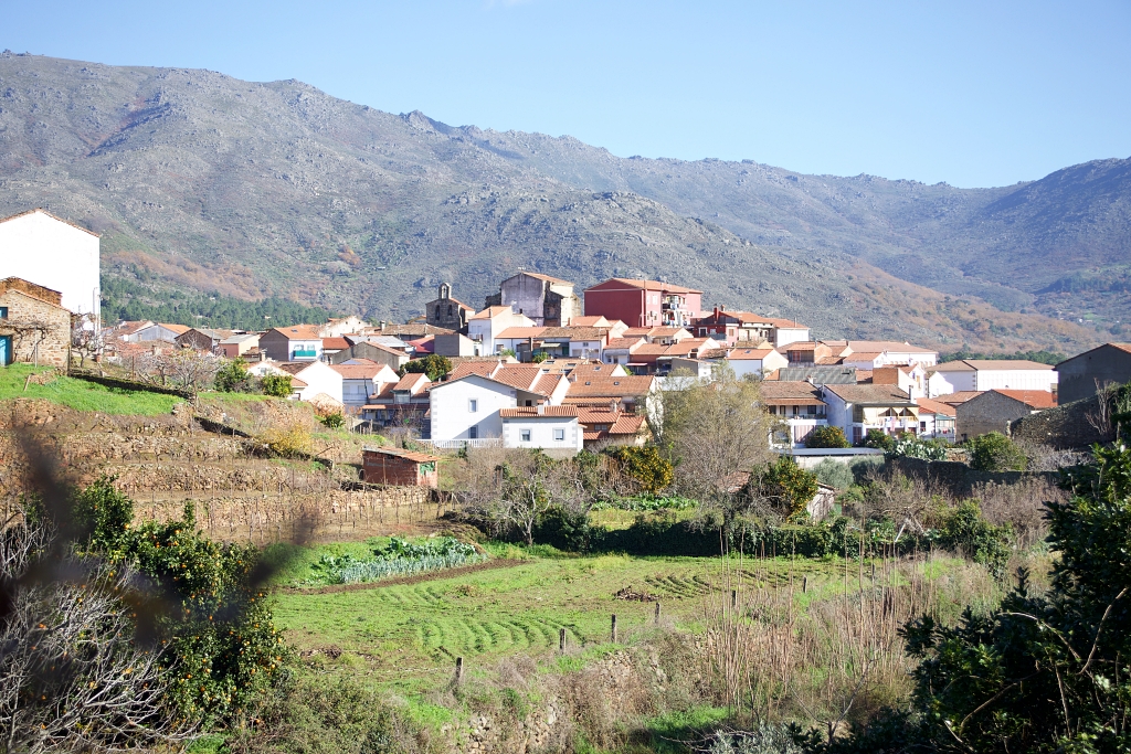 Vista
