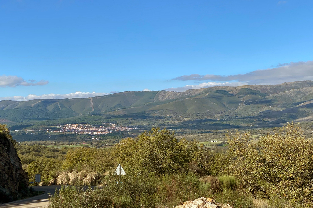 Vista