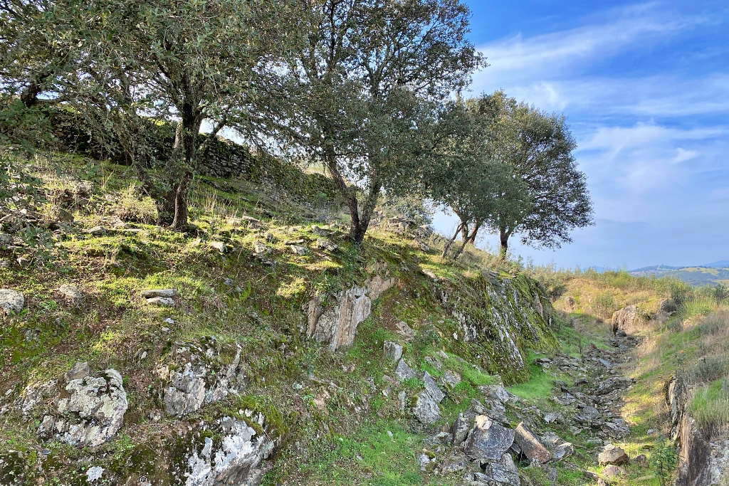 Vista