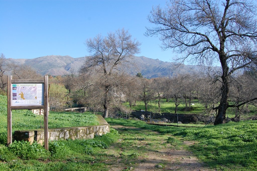 Vista