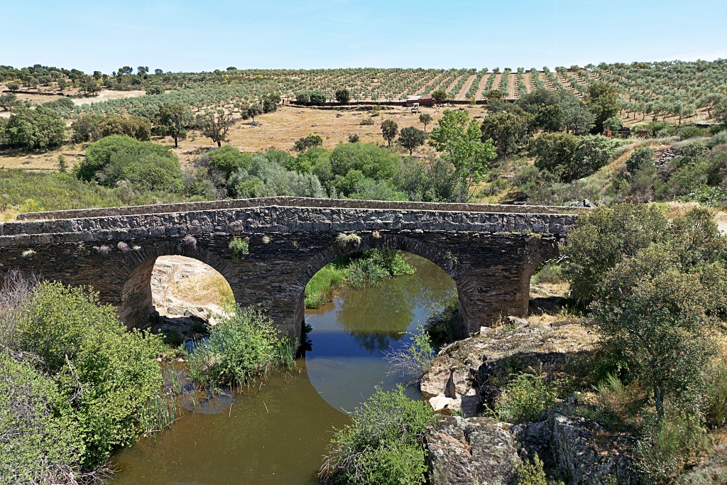 Vista