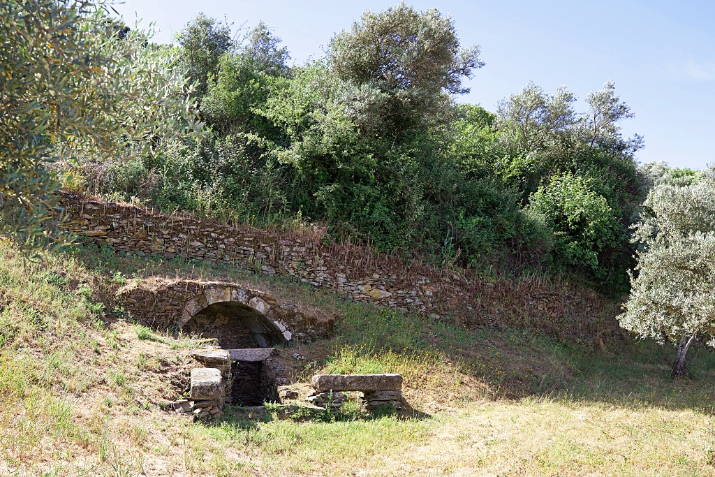 Vista