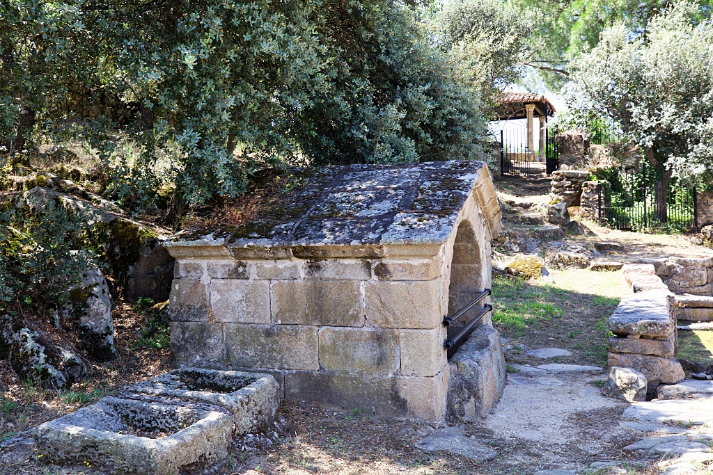 Vista