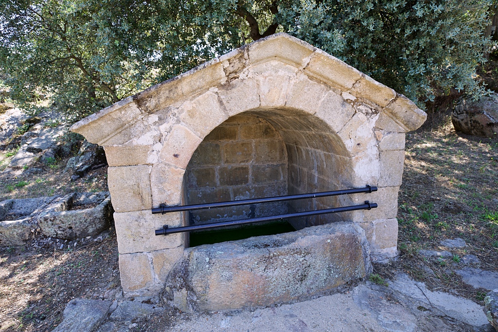 Vista