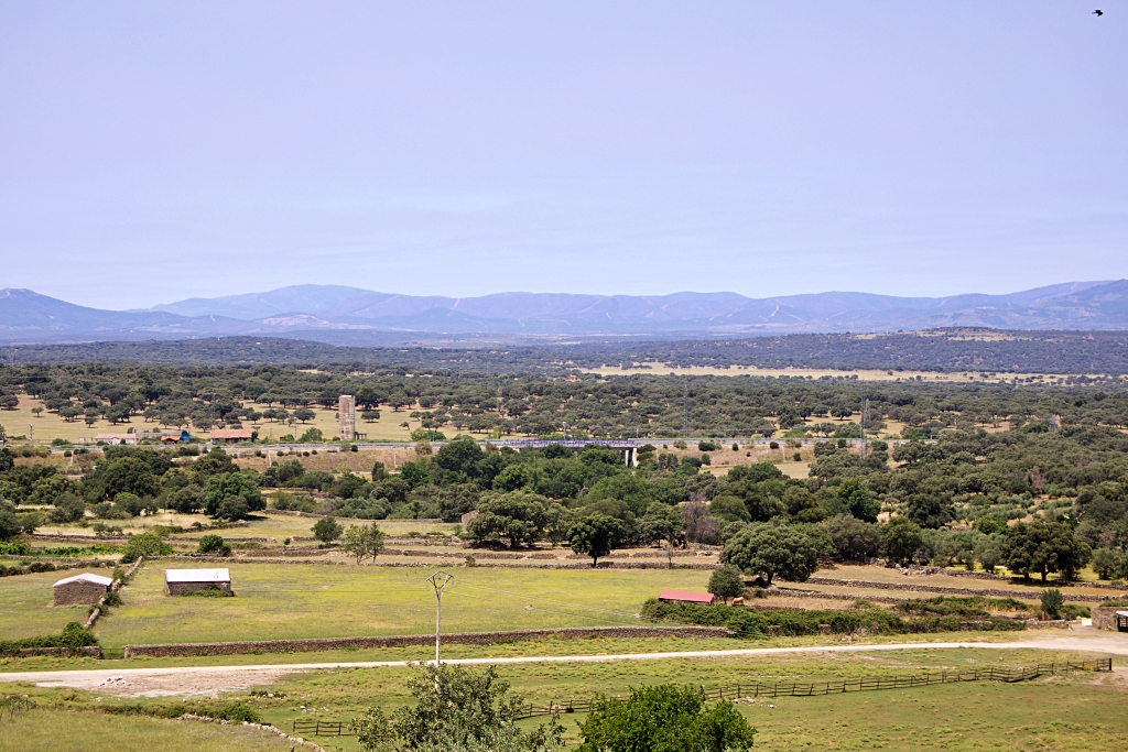 Vista