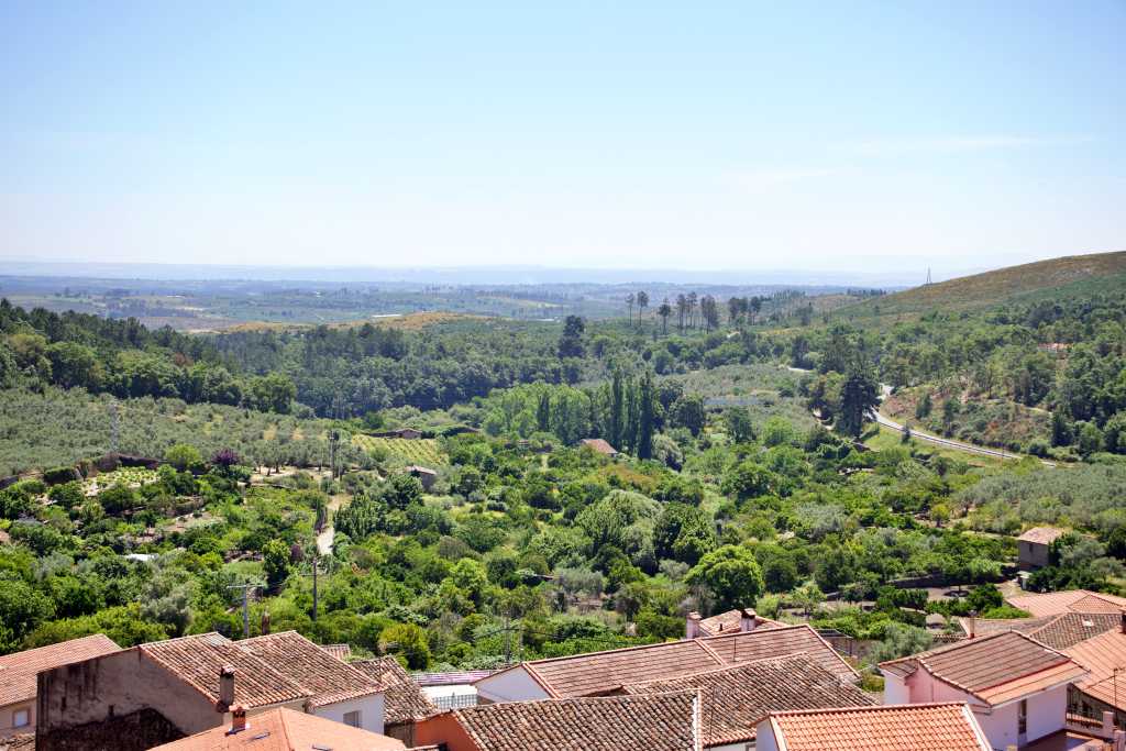 Vista