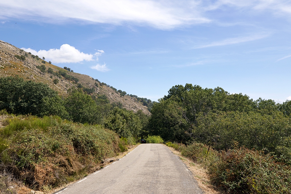 Vista