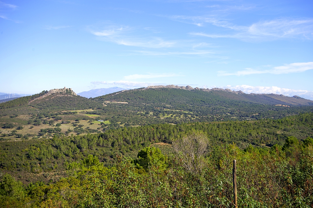 Vista