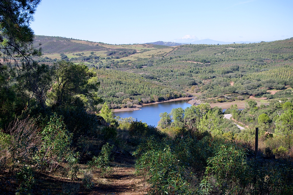 Vista