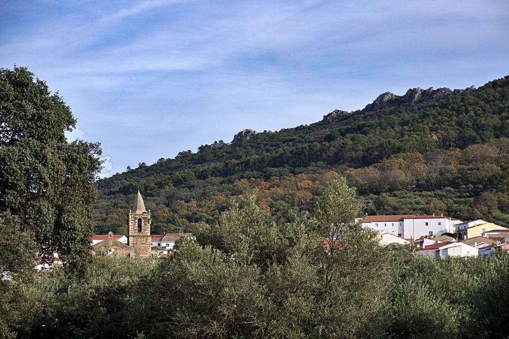 Vista