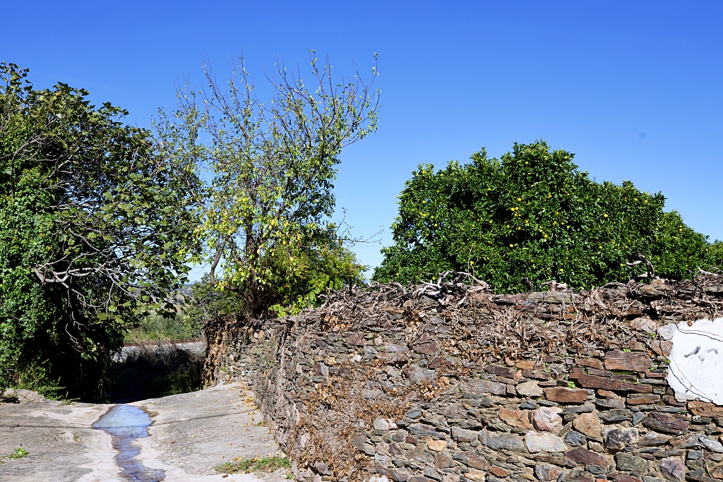 Vista
