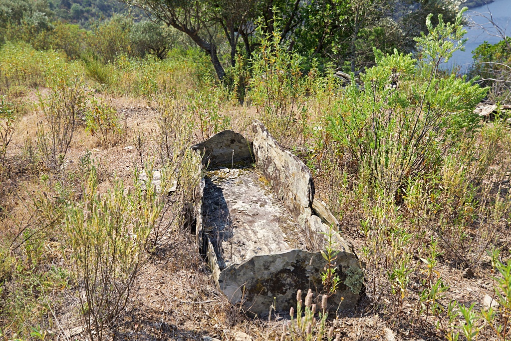 Vista