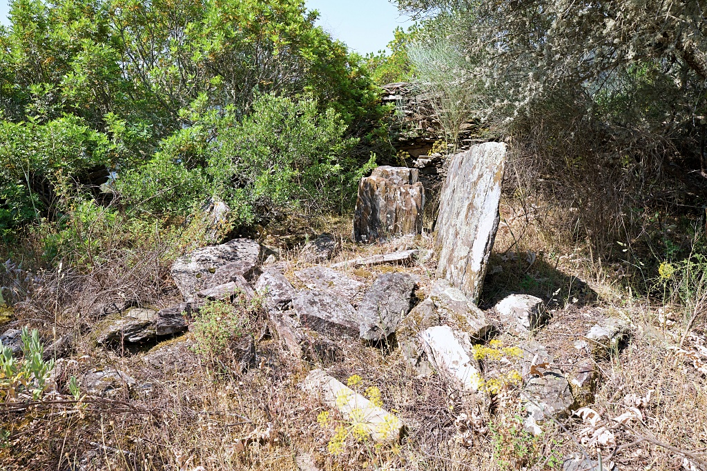 Vista