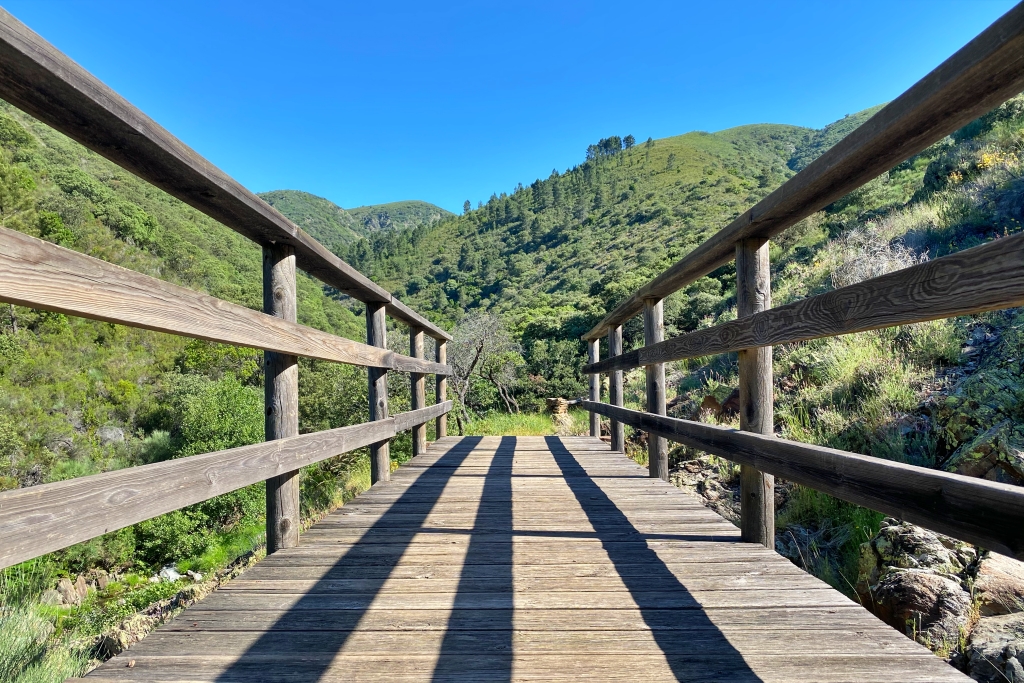 Vista